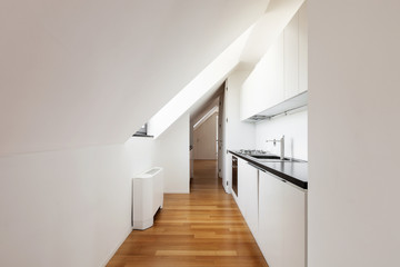 Interior, beautiful loft, hardwood floor, modern kitchen
