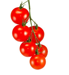 bunch of tomatoes isolate