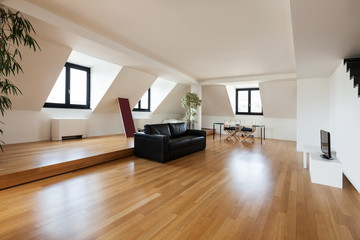 Interior, beautiful loft, hardwood floor, living room