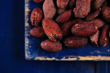 roasted cocoa chocolate beans on dark blue wood background