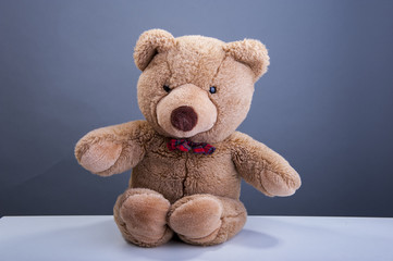 Obraz premium Teddy bear