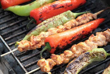 Shish kebab with red and green peppers on hot grill.