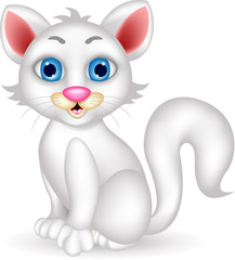 cute  fluffy white Cat cartoon