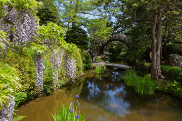 San Francisco City Japanese Garden