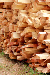 pile of cut wood stump