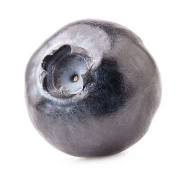 Single Blueberry Images Browse 6 175 Stock Photos Vectors And Video Adobe Stock