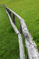 Fototapeta premium Weidezaun