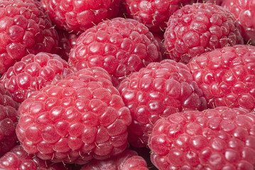 Raspberry