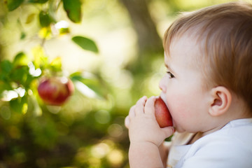 Fototapeta na wymiar Baby boy eating an apple