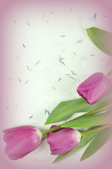 Obraz na płótnie Canvas kwiaty