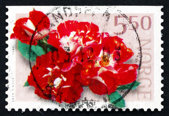 Postage stamp Norway 2001 Red Roses