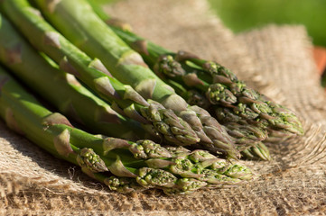 Bunch of green fresh asparagus