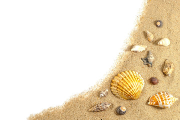 beach sand and shells