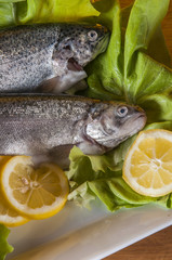 Trout in mediterranean composition