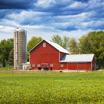 American Farmland With Blue Cloudy Sky