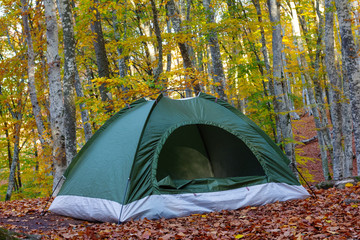 green touristic tent in a forest