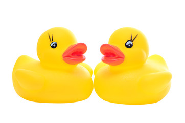 yellow rubber duck-couple-front_on white