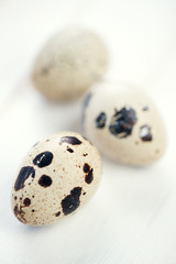 Vertical shot of raw quail eggs, close-up