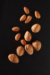 almond on black background