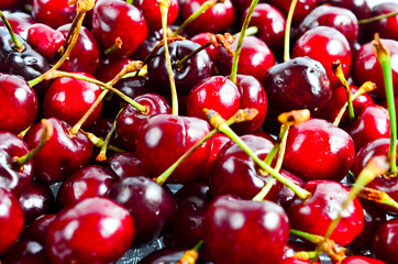 cherry
