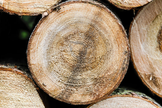 Holzstapel / Wooden Background