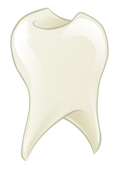Cartoon tooth
