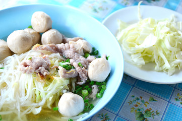 noodle soup with meat ball and fresh vegetable
