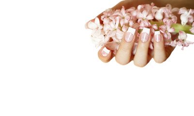 French mit rosa Hyazinthe