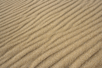 Fototapeta na wymiar Waves of sand