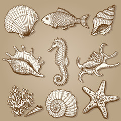 Sea collection. Original hand drawn illustration