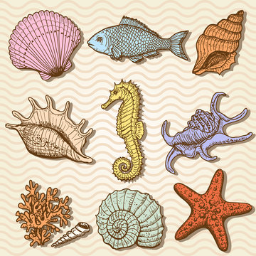 Sea collection. Original hand drawn illustration