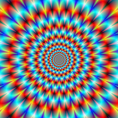 Orange and Blue Chrysanthemum