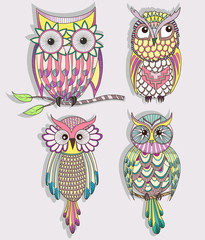Set of cute colorful owls
