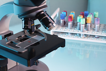 blood sample in the microscope