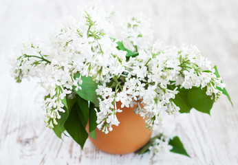 Bouquet of a white  lilac