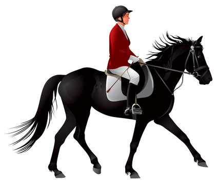 Equestrian sport black horse rider