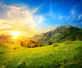 Meadow in mountains