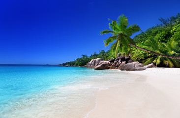 beach at Praslin island, Seychelles