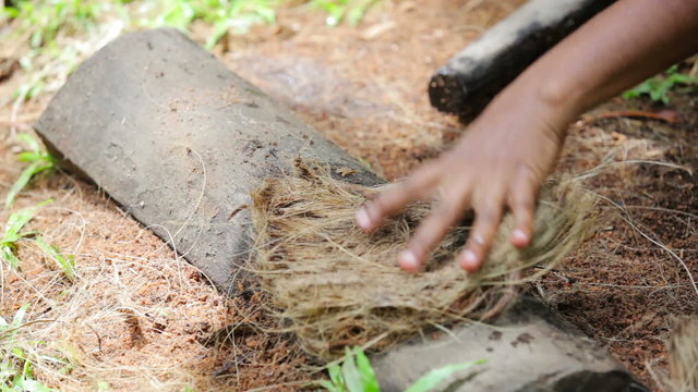Manufacture of coconut fiber - softening with a stick