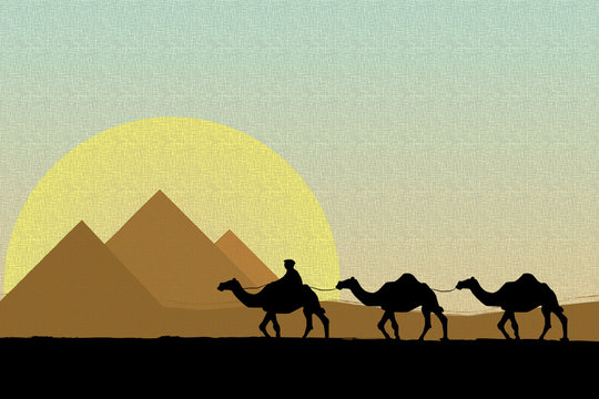 Bedouin camel caravan and pyramid silhouette
