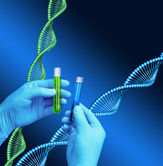 Test tubes laboratory DNA helix model