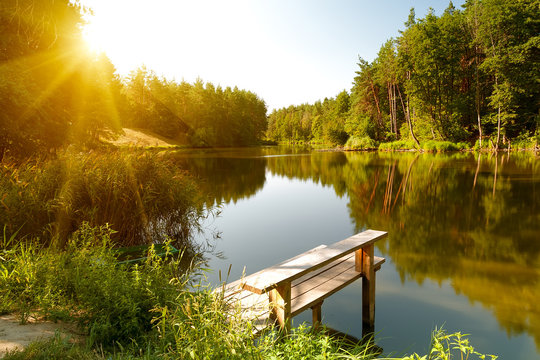Summer landscape with forest lake © Sunny Forest