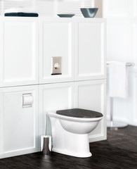 Fototapeta na wymiar Toilette in classical design