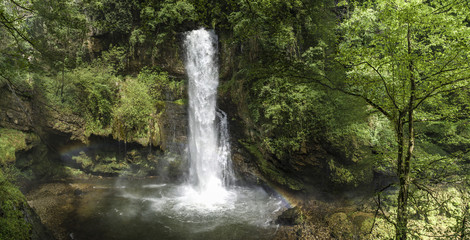 waterfall of Ferrera in the forest