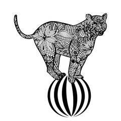 Tiger on a ball
