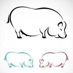 Vector image of an pig on white background