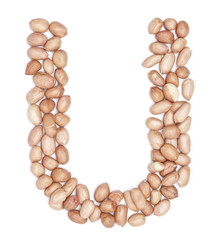 Obraz premium Peanuts