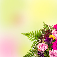 bouquet of colorful flowers over blurred background