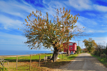 Village in Turkey