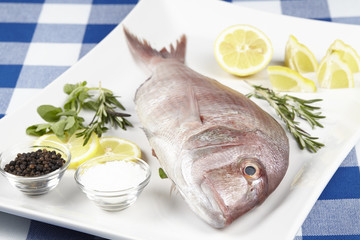 Dorade rose mit Zitrone, Gewuerzen und Kraeutern